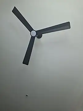 Cinnamonbunn 라이브 XXX 채팅