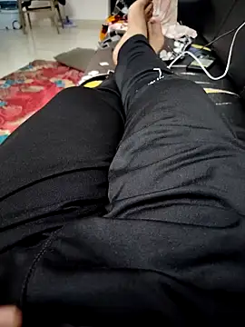 SplitPrestige19 Show Webcam