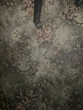 zozo971008 Webcam-Show