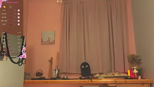 laracroftmansionn Webbikameraesitys