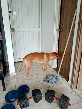 LEIRIS_Y_FRED_01 Obrolan Langsung XXX