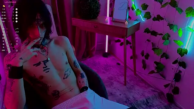 Show Webcam de swagamee