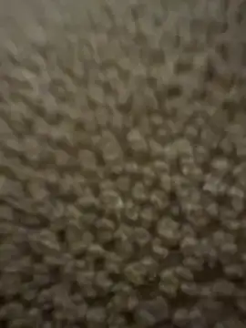 stelliew – webcam-show