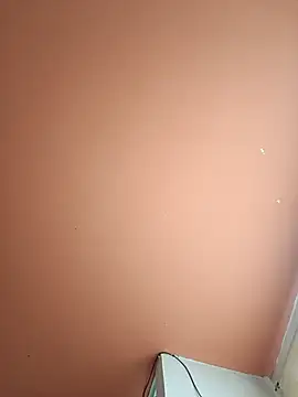 lenin9n Webbikameraesitys