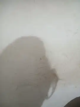 Sexy_girl_011 Webcam show