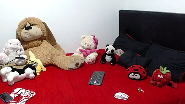 Show de crss_2020 na webcam