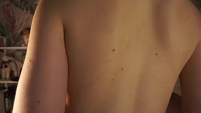 MarlinVarian 网络视讯表演