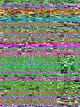 Онлайн чат XXX TREINY_EC