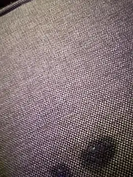 Pmmeforinfo – Kamerová šou