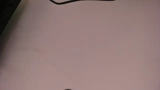 SalomeSimonz Pertunjukan Webcam