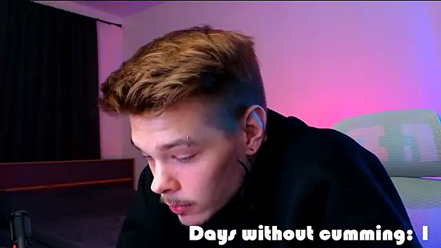 DENIS_HEREn Webbikameraesitys