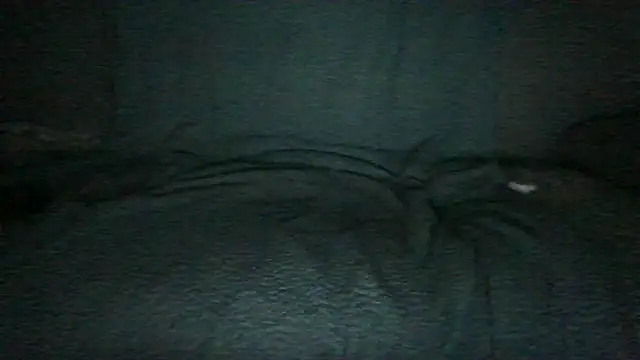 chichoplusn Webbikameraesitys