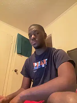 ThickDic28 Show Webcam