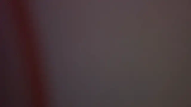 JesterBunny Webcam-Show