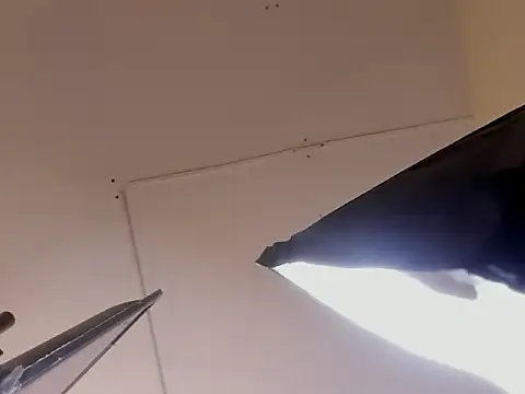 DanniWest Live XXX-Chat