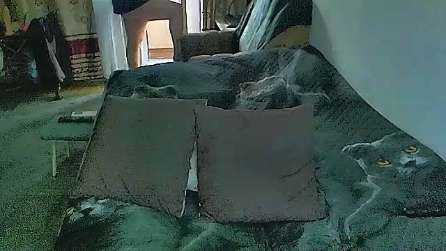 sex2のライブXXXチャット