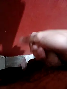 papi23ln Webbikameraesitys