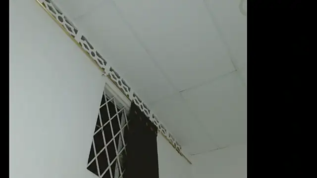 catalina_Ada লাইভ XXX চ্যাট