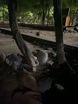 عرض كام Datoka_adrenaline