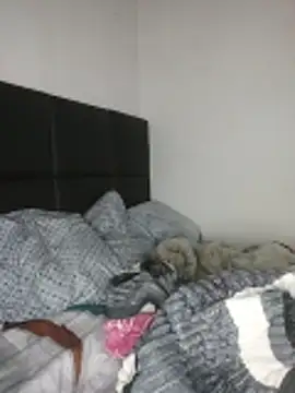 Aranzatits Show Webcam