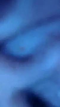 fukurbutt Live XXX-chat