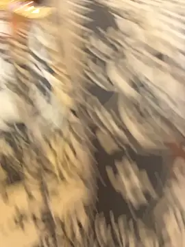 VendiMur Chat XXX live