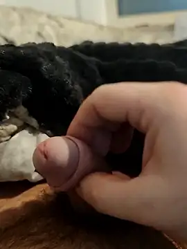 Czat XXX na żywo – bigsweetdick87