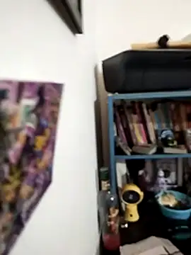 Show Webcam de AnderApp