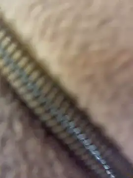 JessiMur Live XXX-Chat