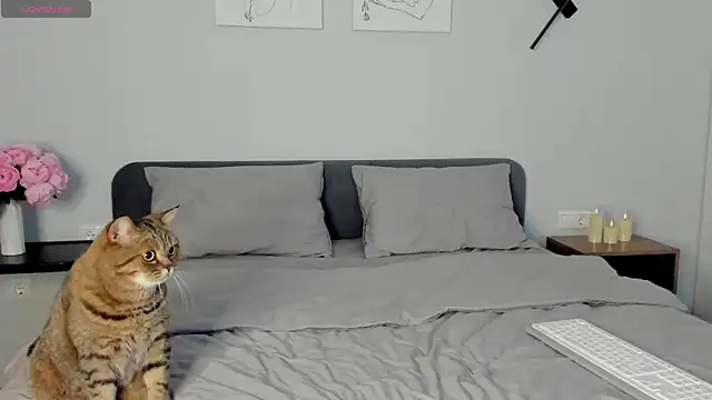 miss_emily_ Adlı Modelin Canlı XXX Sohbeti