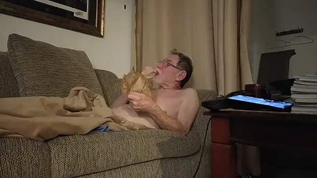 Pertunjukan Kamera Web CDforU