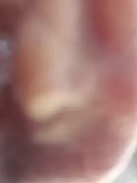 johnny8731 Live XXX-chat