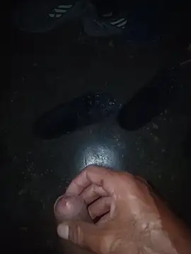 taylorWiiz 라이브 XXX 채팅