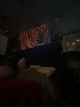 โชว์เว็บแคมของ AshtonChicken