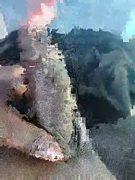 Chat +18 de Tamil_mallu_love ao vivo