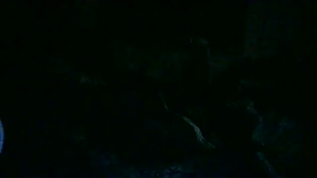 ON3YOULLN3VER_FIR3: вебкам-шоу