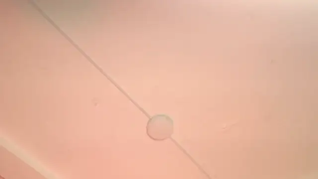 ladymooncs 라이브 XXX 채팅