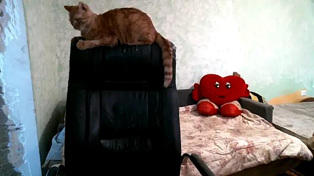 DennisXCaroll লাইভ XXX চ্যাট