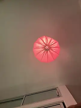 Show webcam de Chaniita