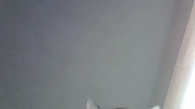 Chat XXX ao vivo de SkinnyKitten