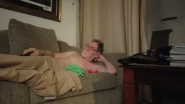 CDforUのウェブカメラショー