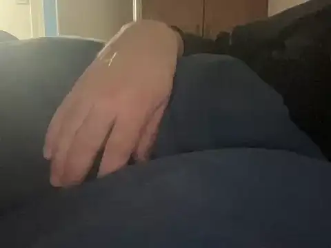 Show webcam de chtentation