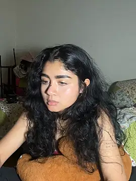 Evaa_11n Webbikameraesitys