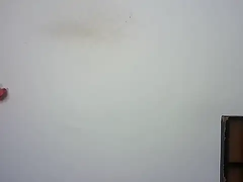 Chat +18 de cutiee_-alia ao vivo