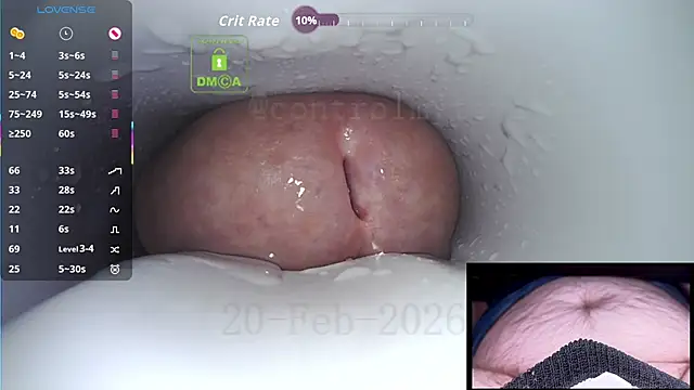 controlmytoys webcam show