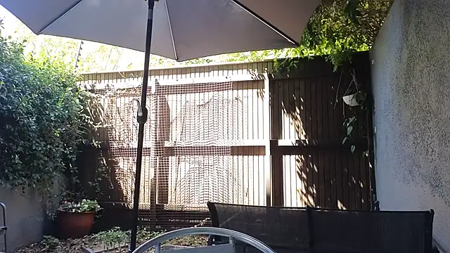 Chat XXX Live TopsyWilde