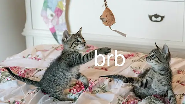 Pink_girl0n – Naživo XXX chat