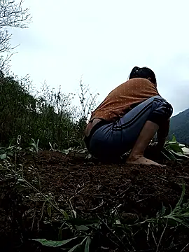 Noelle-e's Webcam Show