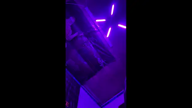 KBONE36 Adlı Modelin Canlı XXX Sohbeti