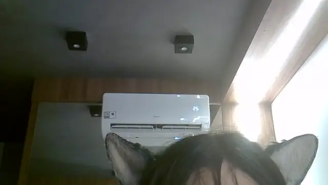 SkinnyKitten Live XXX-Chat